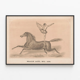 male-act-no-105