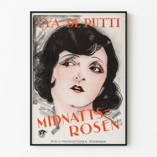midnight-rose-2