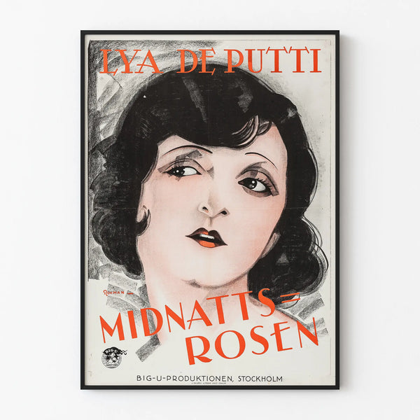 midnight-rose-2