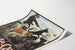 Vintage-Poster Monte-Carlo Hundewettbewerb - Tierische Wanddekoration