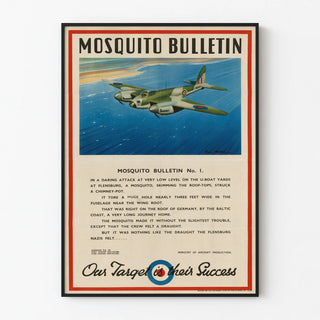 mosquito-bulletin