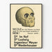 Deutscher Vintage-Politikposter Karikatur Totenkopf