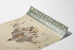 Vintage-Ski-Poster des Norges Skiforbund Elverum 1920