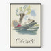 Vintage-Poster Übergewicht Illustration Kanusport