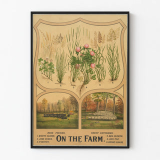 on-the-farm-3