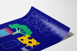 optimal-calcium-intake