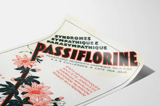 passiflorine-4