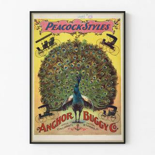 peacock-styles-anchor-buggy-co