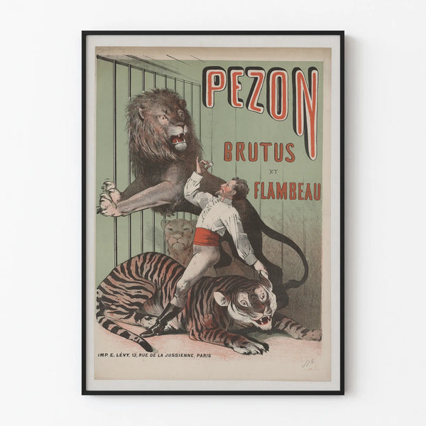 pezon-brutus-et-flambeau