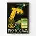 Vintage-Werbeplakat Phytojava Naturheilkunde