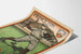 Vintage-Poster Princeton Baseballspieler