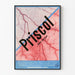 Vintage-Poster Priscol - Retro-Medizinische Wanddekoration