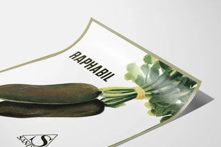 raphabil-2