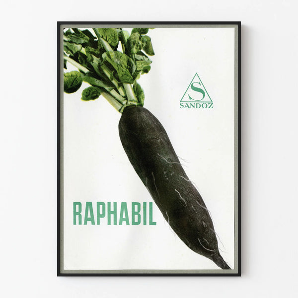 raphabil-3