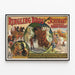 Vintage-Poster Ringling Bros Schuman's Deutscher Pferde-Zirkus 1909 — gerahmtes Bild an der Wand