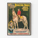 Vintage-Poster Ringling Bros - Der Silver King-Pferd, geritten von John O'Brien