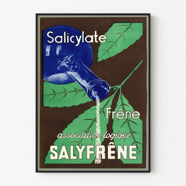 Vintage-Werbeplakat Salicylat Esche Wanddekoration