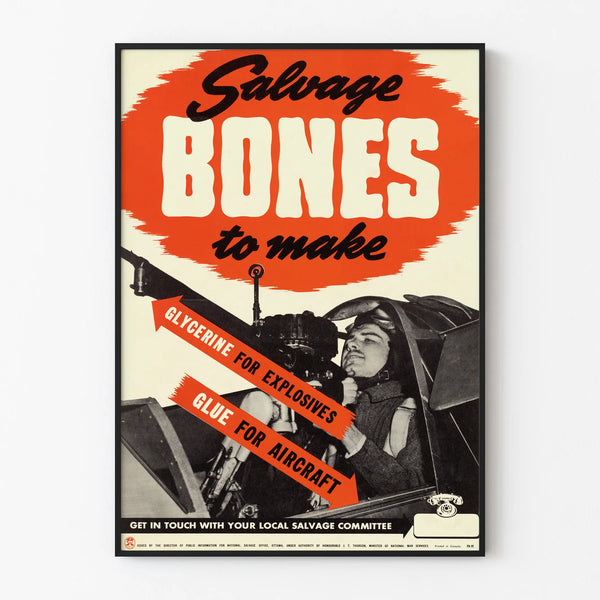 salvage-bones