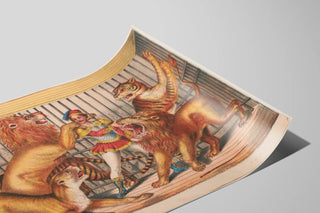 scenes-in-the-arena-performer-lion-taming