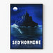 Vintage-Poster Sed'Hormone Wanddekoration Ruhige Nacht