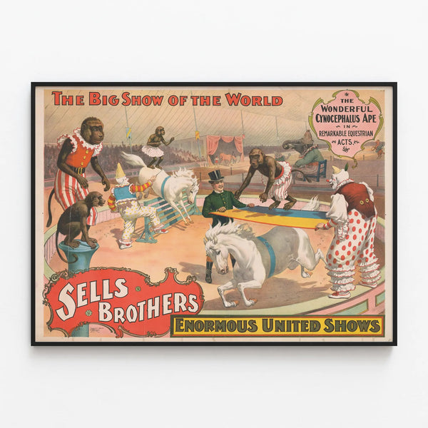sells-brothers-enormous-united-shows-the-wonderful-cynocephalus-ape-in-remarkable-equestrian-acts