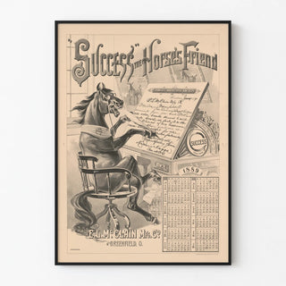 success-the-horses-friend