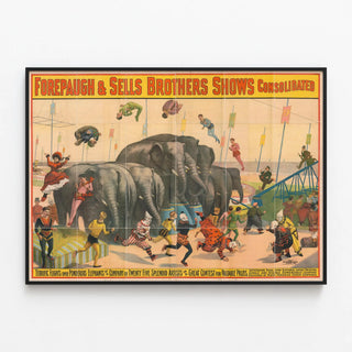 terrific-flights-over-ponderous-elephants-by-a-company-of-twenty-five-splendid-artists-in-a-great-contest-for-valuable-prizes