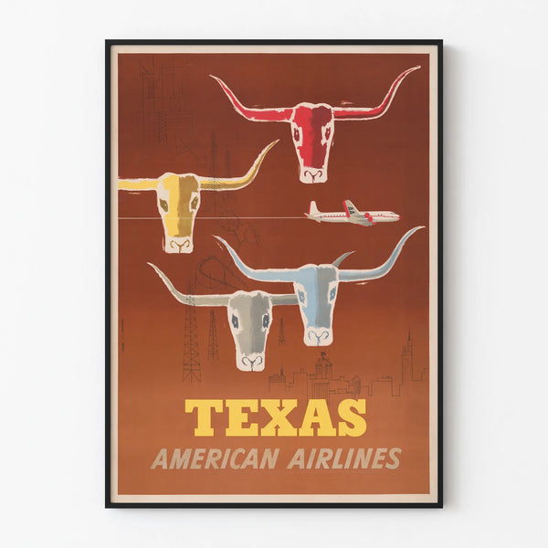 texas-american-airlines