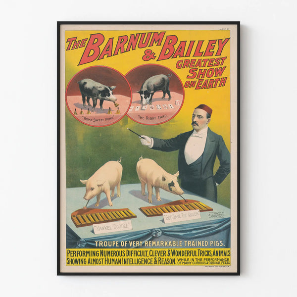 the-barnum-bailey-greatest-show-on-earth-troupe-of-very-remarkable-trained-pigs