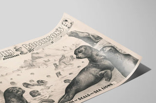 the-great-john-robinsons-4-ring-circus-10000-school-of-seals-and-sea-lions