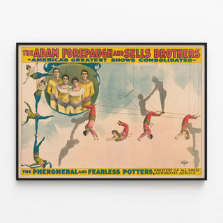 the-phenomenal-and-fearless-potters