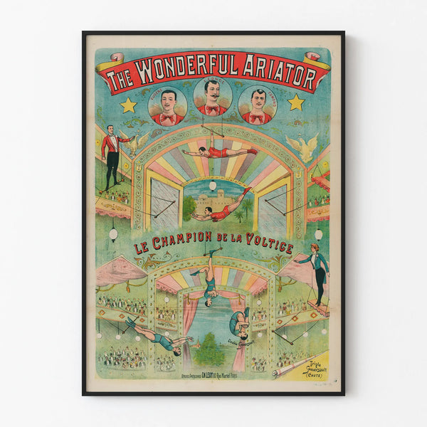 the-wonderful-ariator-le-champion-de-la-voltige
