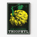 Vintage-Poster Thiophyl - Retro-Medizinische Wanddekoration