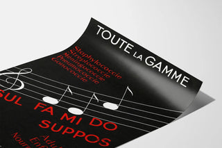 toute-la-gamme