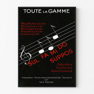 toute-la-gamme