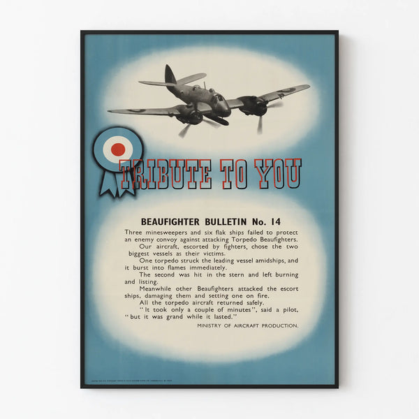 tribute-to-you-beaufighter-bulletin-no-14
