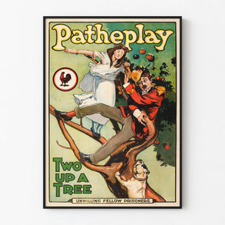 two-up-a-tree