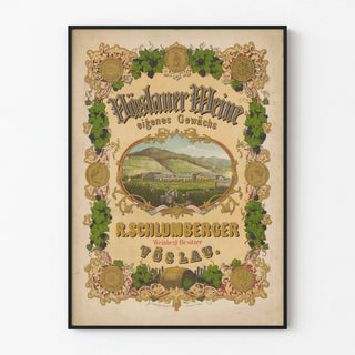 voslauer-weine-r-schlumberger-weinberg-besitzer-in-voslau