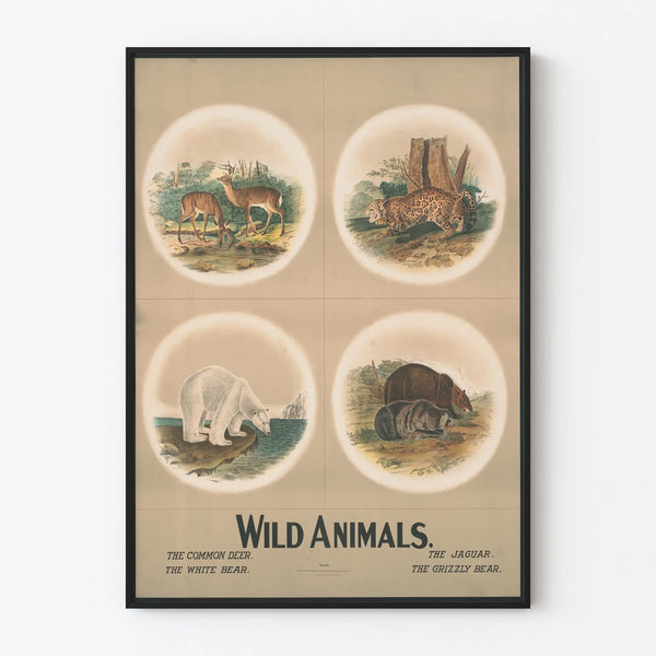 wild-animals-2