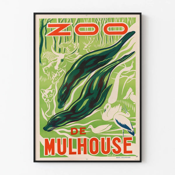 zoo-de-mulhouse